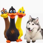 Squeaky Duck Latex Dog Chew Toy – Interactive Chew & Boredom Buster for Puppies & Dogs