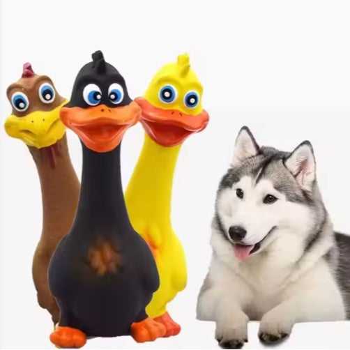 Squeaky Duck Latex Dog Chew Toy – Interactive Chew & Boredom Buster for Puppies & Dogs