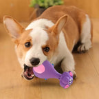 Squeaky Latex Dog Chew Toys (4-Pack) – Interactive Puppy Teething & Dental Toys