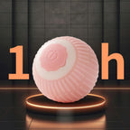 Interactive Rolling Cat Ball Toy – Smart Motion Chase Toy for Indoor Cats & Kittens