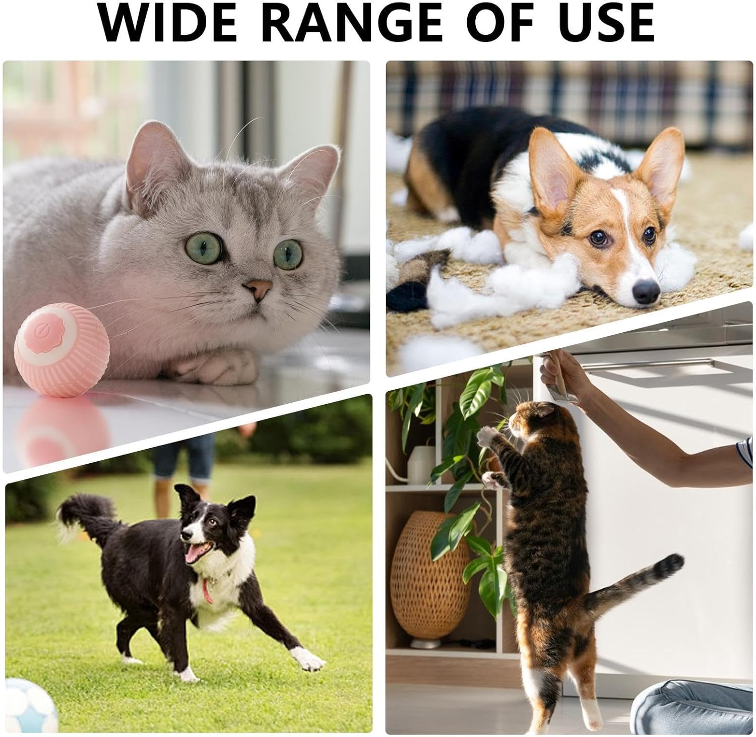 Interactive Rolling Cat Ball Toy – Smart Motion Chase Toy for Indoor Cats & Kittens