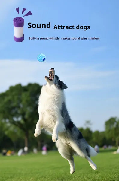 Interactive Sound Ball for Dogs & Cats – Squeaky Chew Toy for Boredom, Training & Play