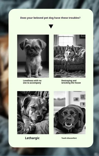 Interactive Sound Ball for Dogs & Cats – Squeaky Chew Toy for Boredom, Training & Play