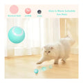 Interactive Rolling Cat Ball Toy – Smart Motion Chase Toy for Indoor Cats & Kittens