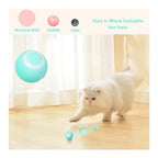 Interactive Rolling Cat Ball Toy – Smart Motion Chase Toy for Indoor Cats & Kittens