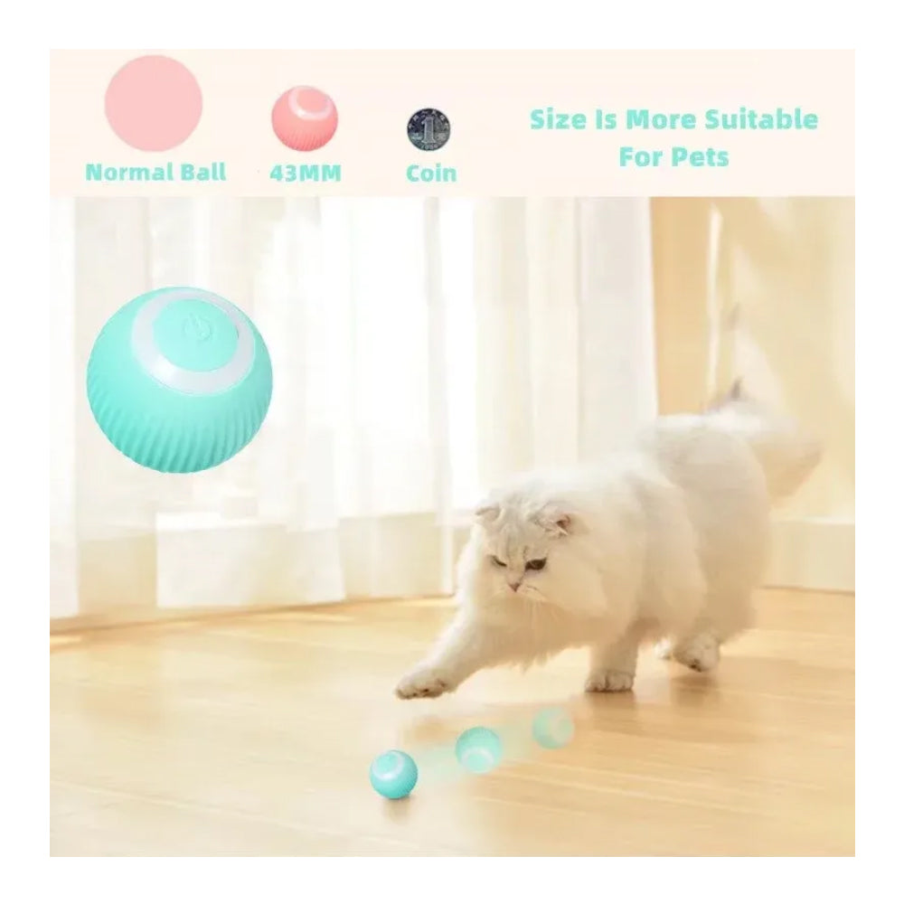 Interactive Rolling Cat Ball Toy – Smart Motion Chase Toy for Indoor Cats & Kittens