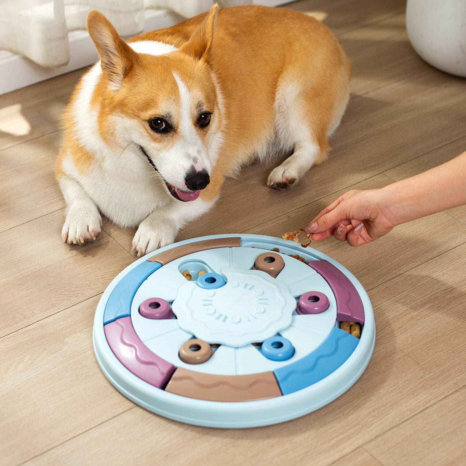 Interactive Dog Puzzle Toy – Treat Dispensing Brain Game for Smart Dogs (Levels 1–3)