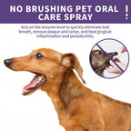 No-Brushing Pet Oral Care Spray for Dogs & Cats – Fresh Breath & Dental Care
