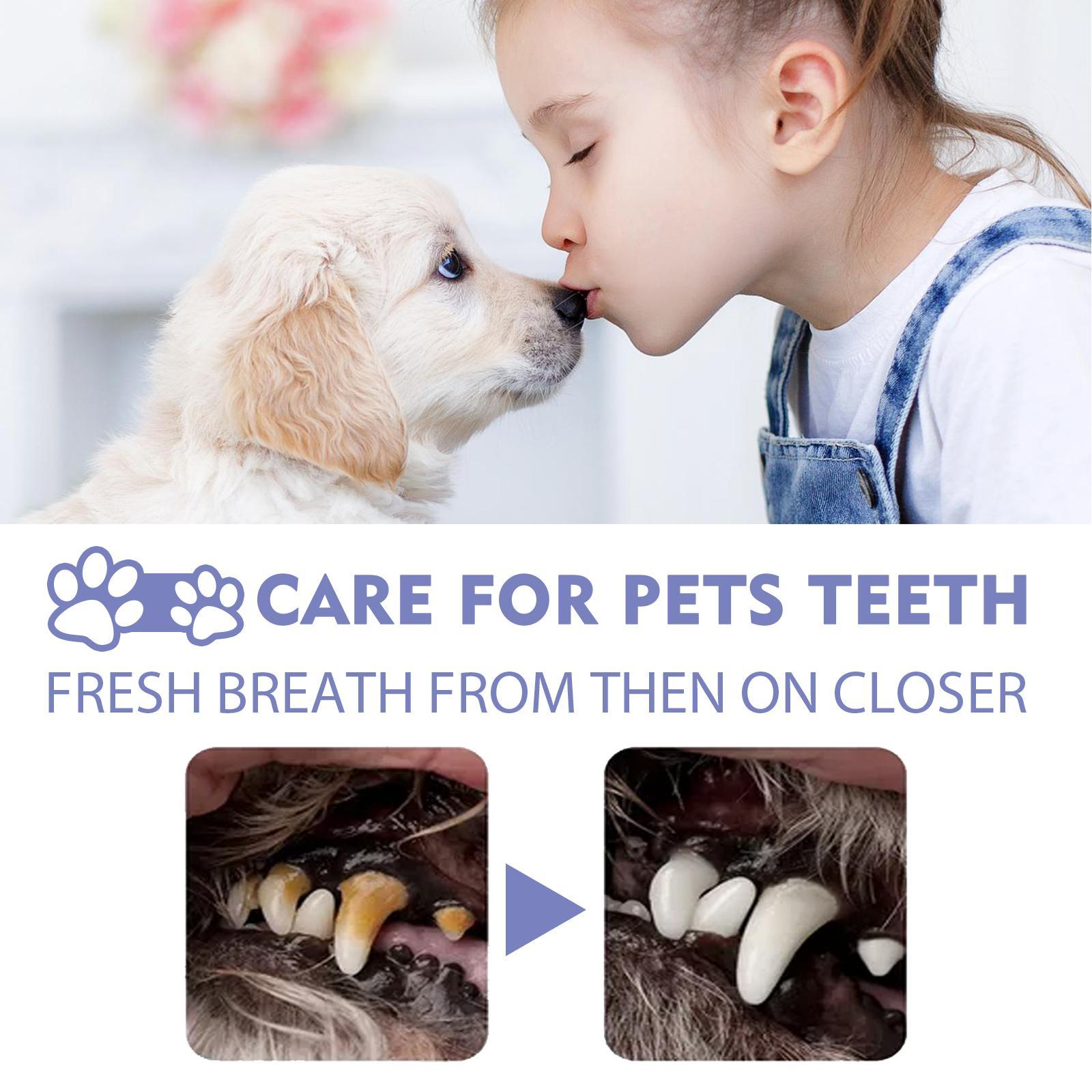 No-Brushing Pet Oral Care Spray for Dogs & Cats – Fresh Breath & Dental Care
