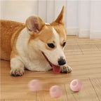 Interactive Rolling Cat Ball Toy – Smart Motion Chase Toy for Indoor Cats & Kittens